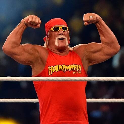 Pro wrestling legend Hulk Hogan dies at 71