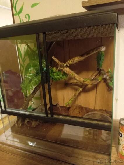 Terarium 45x45x32 - Šumperk