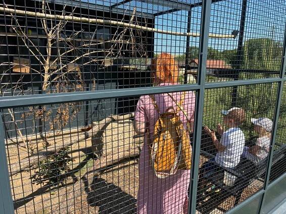 TIP NA VÝLET: Zoopark Olovnice – zvířata na dosah a zážitky pro celou rodinu – Slánský Infáček