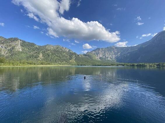 Offensee