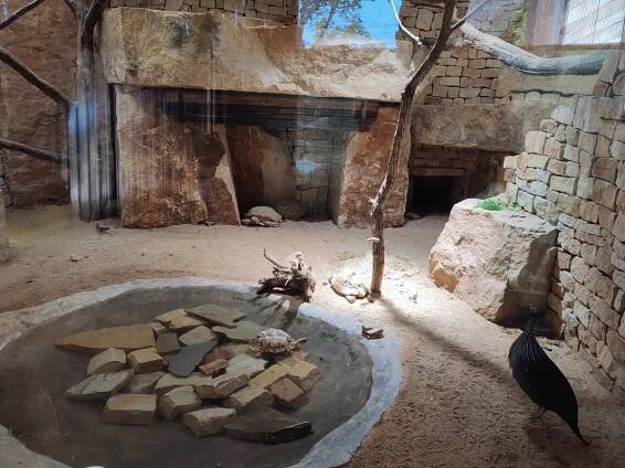 Den dětí v ZOO Lešná - ZŠ a MŠ Kudlovice