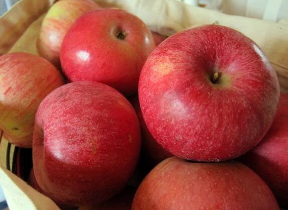 Apples & Pears — Sweetland Orchard