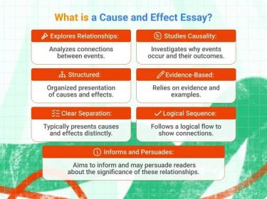 What is a Cause and Effect Essay