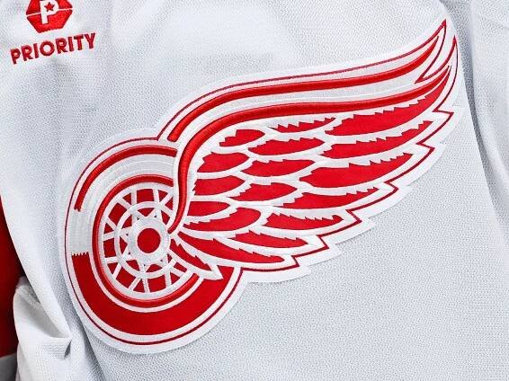 The new Detroit Red Wings logo is a soaring success
