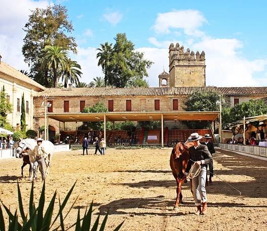 Royal Stables, Córdoba, Spain