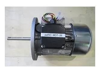 RM GASTRO MOTOR PSP 500 8l 220V