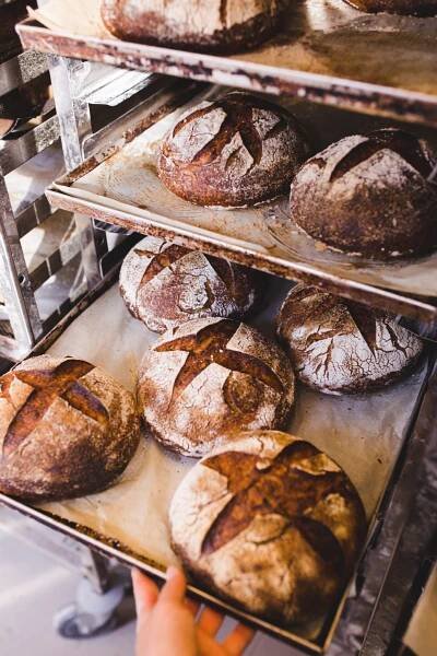 Nová pekárna William Thomas Artisan Bakery v centru! - lifestylebrno.cz