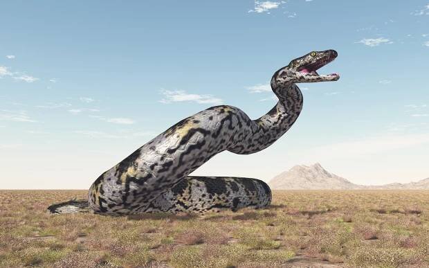 Titanoboa: Steckbrief & 7 Merkmale der Riesenschlange » schreiben.net