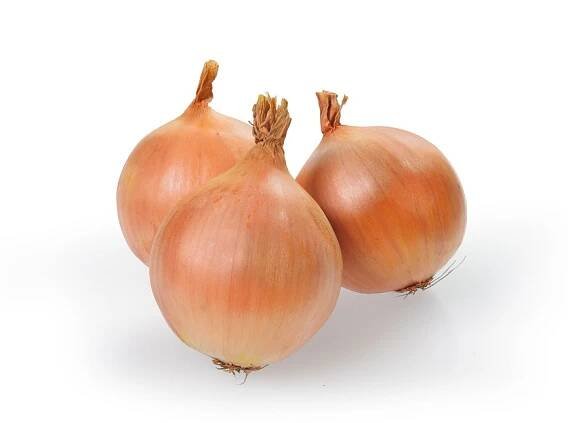 Cibule sazečka AUGUSTA ozimá 500g 8-21mm