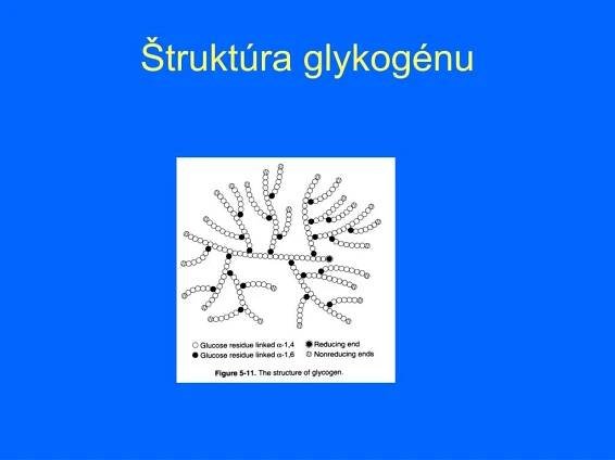 PPT - BIOC HÉMIA PowerPoint Presentation, free download - ID:813321