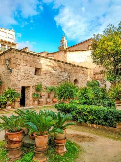 an inner yard with lots of green plants and palms and church clock tower at the background; the gardens of Banys Arabs in Palma de Mallorca