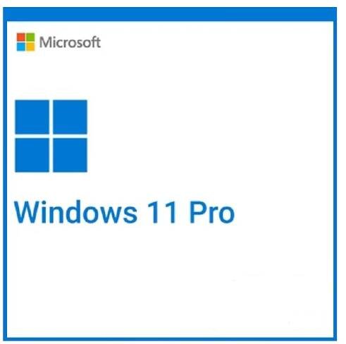 Microsoft Windows 11 Pro N - DSP