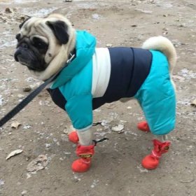 Oblečení pro malé psy Zimní zateplená bunda pro mazlíčka Nepromokavý kabátek pro psa Čivava Oblečení francouzského buldočka