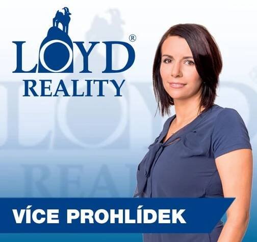 Loyd - reality foto 4