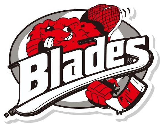 Beaver Lodge Hockey Association