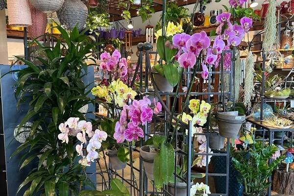 East Bay Nursery