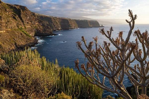 Rozeklané pobřeží Tenerife