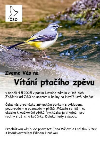 plakát