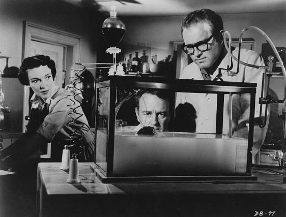 Donovan's Brain - Z filmu - Nancy Davis, Lew Ayres, Gene Evans