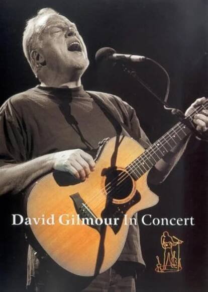 David Gilmour in Concert (Video 2002) 8.7