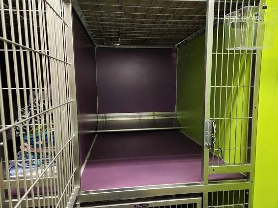 Climate-Controlled Pet Boarding - Bar N Veterinary Clinic