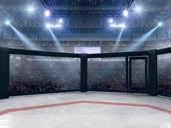 MMA: druh klece, nástup bojovníka – detaily na které si dát pozor