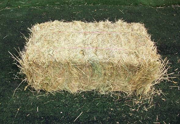 Meadow Hay - conventional bales
