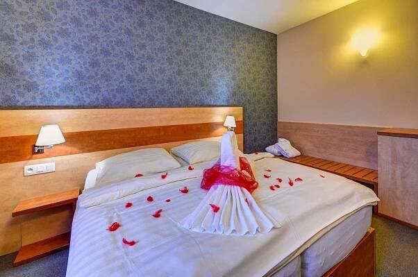 Postel nebo postele na pokoji v ubytování Hotel Toč