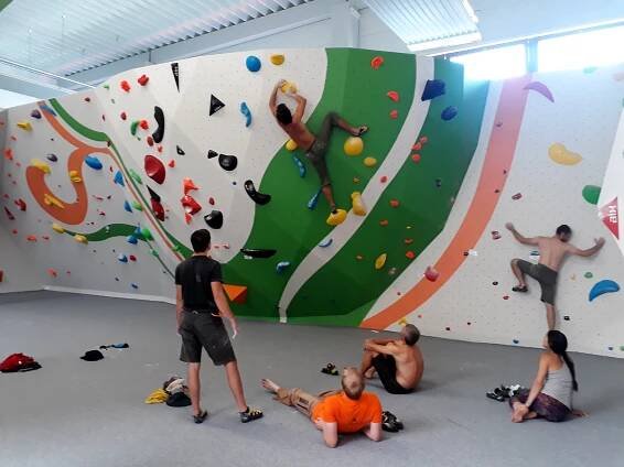 Žilina 2018 | Makak climbing