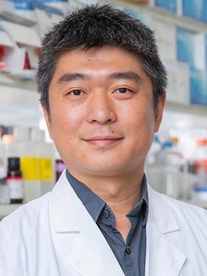 Jun Wu