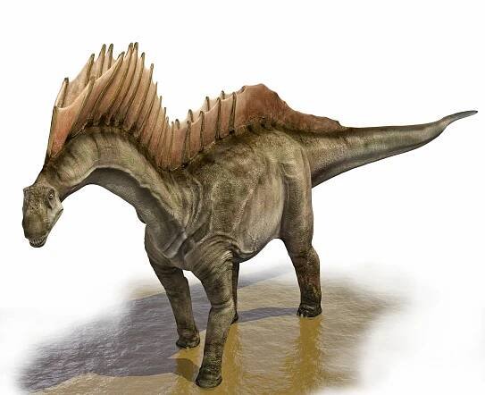 Most Dinosaur Species Are Still Undiscovered | National Geographic