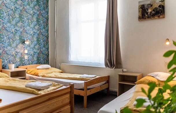 Ubytování Dvůr Králové nad Labem