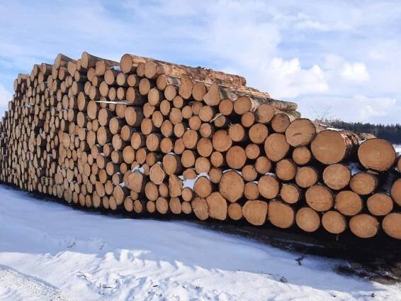 Nákup a prodej dřeva | Palivové dřevo, dříví, těžební, pěstební činnost Písek, České Budějovice, Tábor, Volyně, Jihočeský