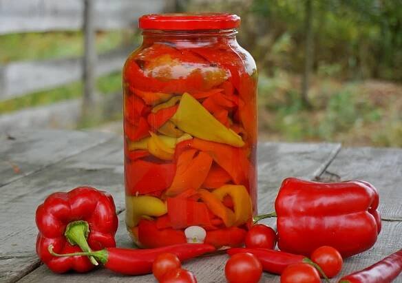 TOP 14 jednoduchých receptů na výrobu nakládaných chilli papriček na zimu