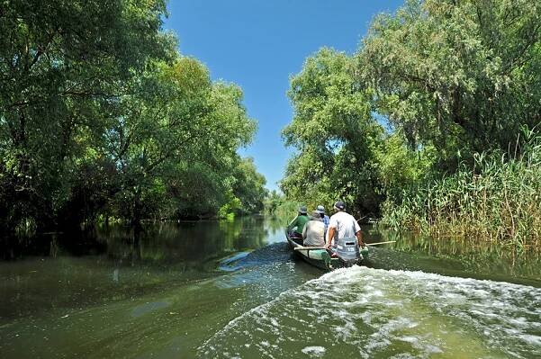 beauty-and-wildrness-danube-delta-romania-for-you_05