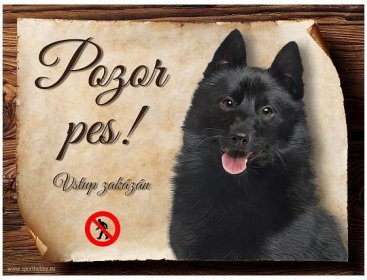 Cedulka Šiperka - Pozor pes zákaz/CP1048 - Cedulky sport hobby