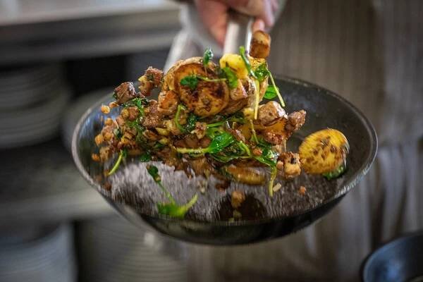 | Bistro Shoda 