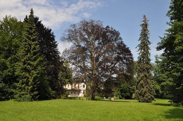 Soubor:Slatiňany-zámecký-park2012.jpg
