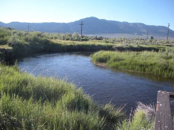 East Walker River