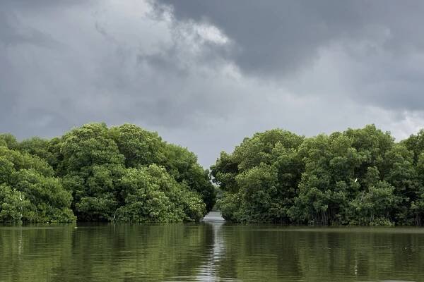 Naturreservat Ciénaga, Magdalena