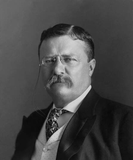 Soubor:President Roosevelt - Pach Bro - desaturated to black and white.tiff