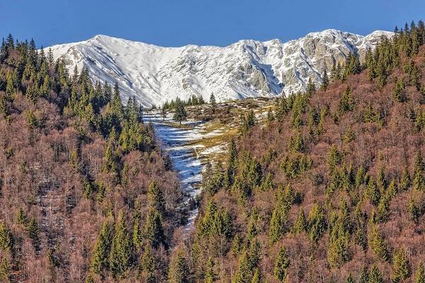 Piatra Craiului