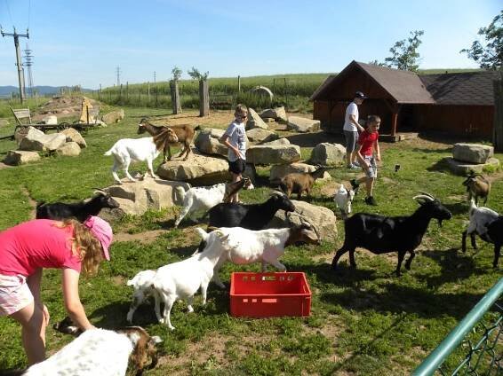 ZŠ Meziměstí 5B 20.6.2017 - Farma Wenet
