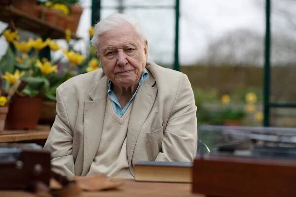 David Attenborough: Písně přírody - Promo - David Attenborough