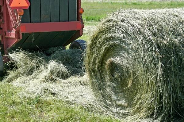 Hay Baler Comparison: Square vs. Round for Small Farms