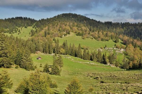 Túra: Bralnatá Gaderská dolina a hôľnatá Krížna | HIKING.SK