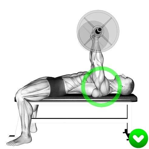 bench press shoulders