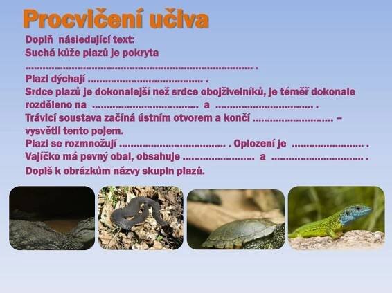 PPT - Plazi PowerPoint Presentation, free download - ID:2371859