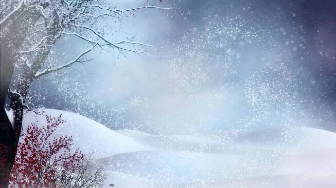 a snowy landscape with trees and snow