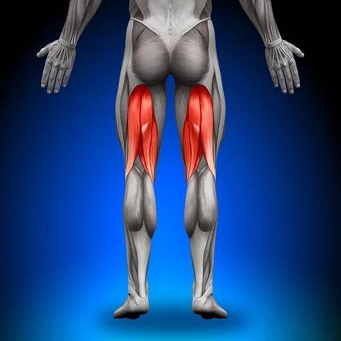 Hamstring stock fotografie, royalty free obrázky